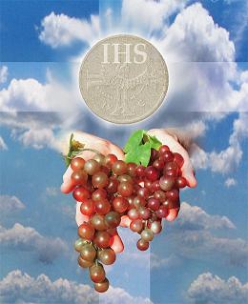 Liturgiczna Służba Rodzin